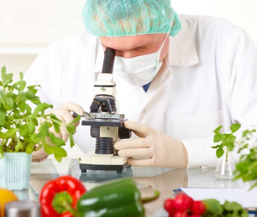 depértement_science_alim