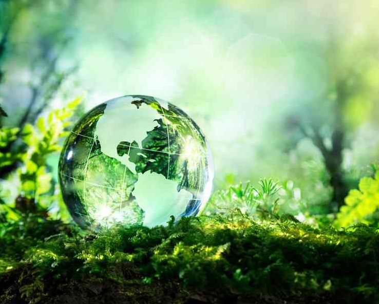 ecologie-solutions